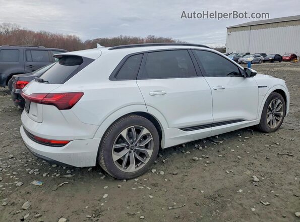WA1LAAGE7MB027265 2021 AUDI E-TRON White Tył prawy
