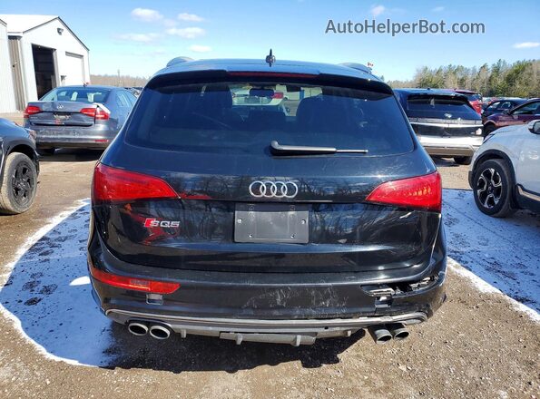 WA1LCAFP8GA090219 2016 AUDI SQ5 Черный Вид сзади