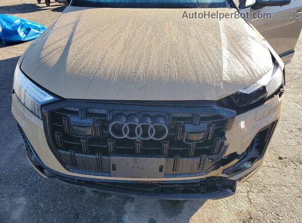 WA1LCBF7XSD007046 2025 AUDI Q7 Желто-коричневый Вид задней части салона