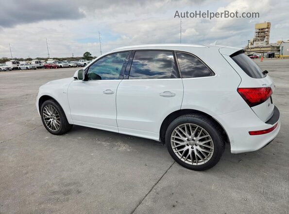 WA1M2AFP1HA055207 2017 AUDI Q5 White Trasero izquierdo
