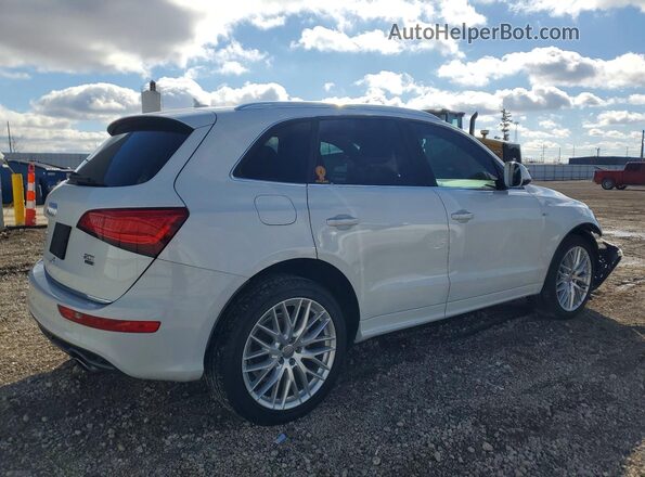 WA1M2AFP6HA037799 2017 AUDI Q5 White უკანა მარჯვენა