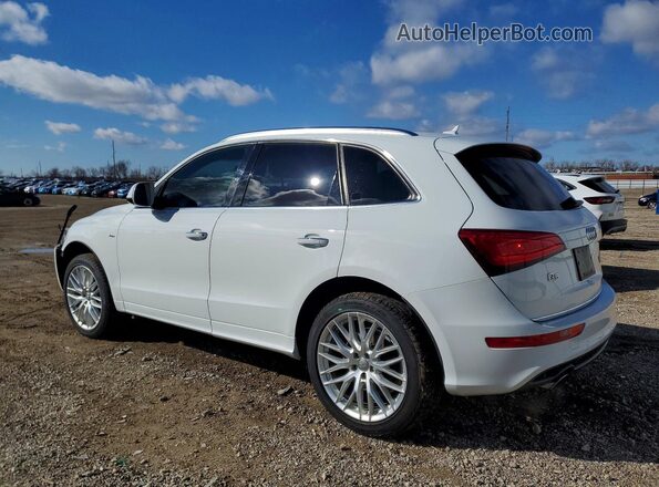WA1M2AFP6HA037799 2017 AUDI Q5 White უკანა მარცხენა