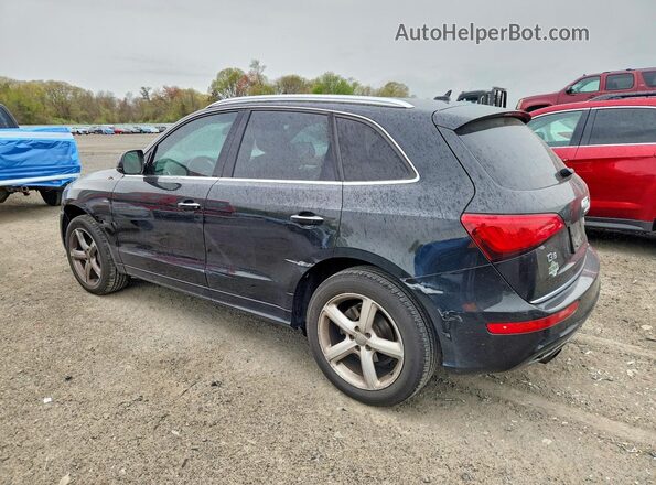 WA1M2AFP7HA091029 2017 AUDI Q5 Black Tył lewy