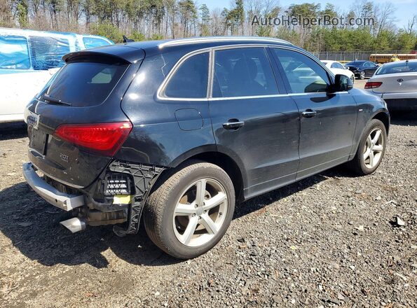 WA1M2AFP9HA069632 2017 AUDI Q5 Black Tył prawy