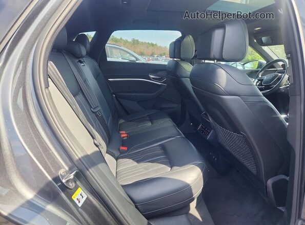 WA1VAAGE3KB006838 2019 AUDI E-TRON Charcoal Vista de los asientos traseros