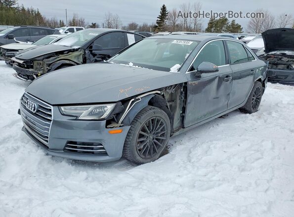 WAUANAF43HN032197 2017 AUDI OTHER Gray Przód lewy