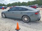 2019 Audi S5 Premium Plus Gray vin: WAUB4CF59KA081155