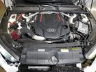 2023 Audi S5 Prestige White vin: WAUB4DF55PA060476