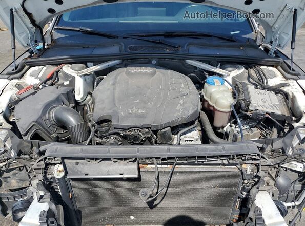 WAUBNCF5XKA006719 2019 AUDI A5 Белый Вид задней части салона