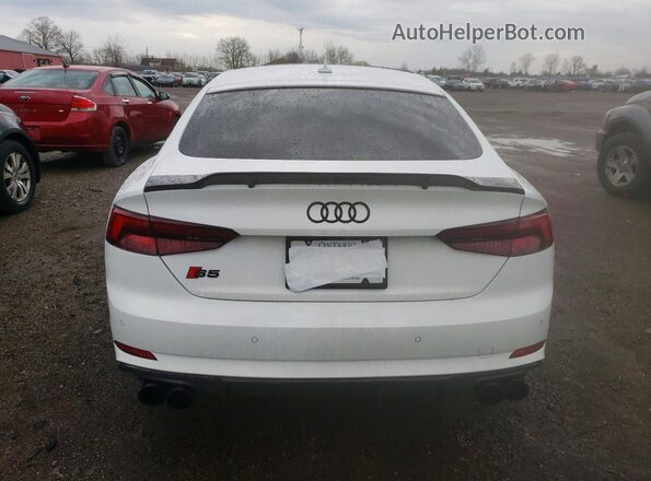 WAUC4CF51KA048476 2019 AUDI S5 White Հետևի տեսք