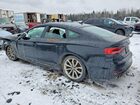 2019 Audi S5 Prestige Black vin: WAUC4CF52KA004101