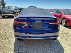 2019 Audi S5 Prestige Blue vin: WAUC4CF56KA074572