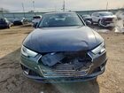 2019 Audi A4 Premium Gray vin: WAUDNAF40KA039815