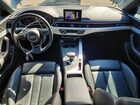 2019 Audi A4 Premium Gray vin: WAUDNAF4XKA044343