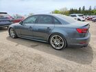 2017 Audi A4 Premium Plus Серый vin: WAUENAF46HN049979