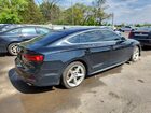 2019 Audi A5 Premium Plus S-line Black vin: WAUENCF51KA043879