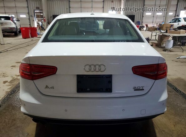 WAUFFAFL9GA004081 2016 AUDI A4 Белый Вид сзади