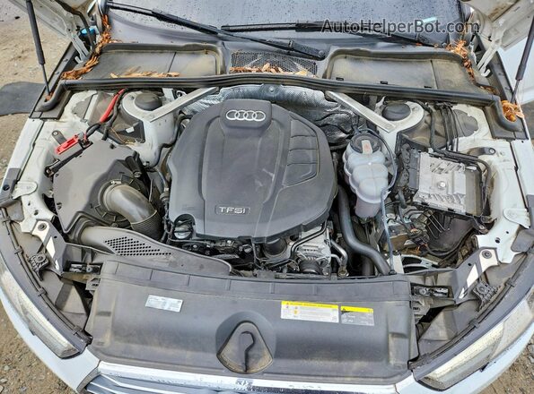 WAUGNAF48HN029418 2017 AUDI A4 Белый Вид задней части салона
