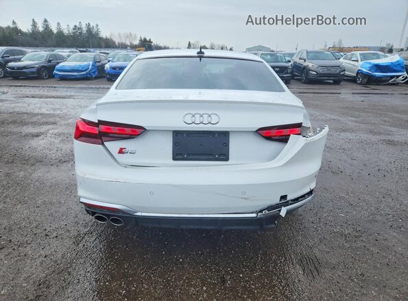 WAUN4AF54PA039193 2023 AUDI S5 White Widok z tyłu