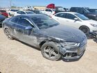 2019 Audi S5 Premium Plus Gray vin: WAUP4AF52KA048699