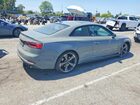 2019 Audi S5 Premium Plus Gray vin: WAUP4AF55KA057297
