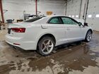 2019 Audi A5 Premium Plus Белый vin: WAUTNAF5XKA015588