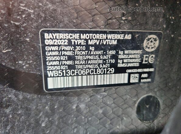 WB513CF06PCL80129 2023 BMW IX Black Vista del compartimento del motor