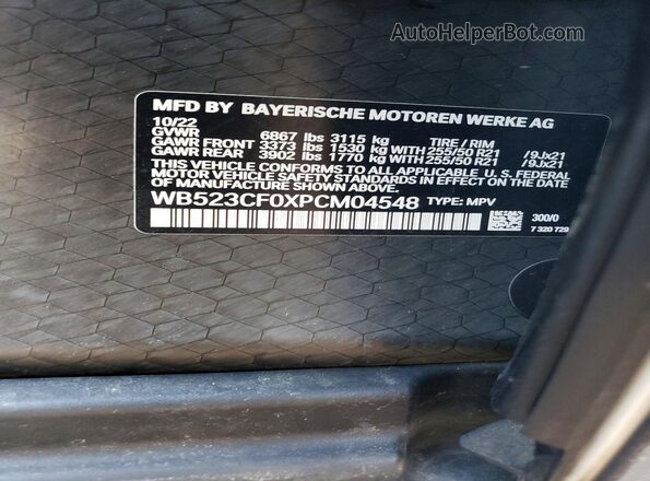WB523CF0XPCM04548 2023 BMW IX Белый Панорамный вид салона 360°