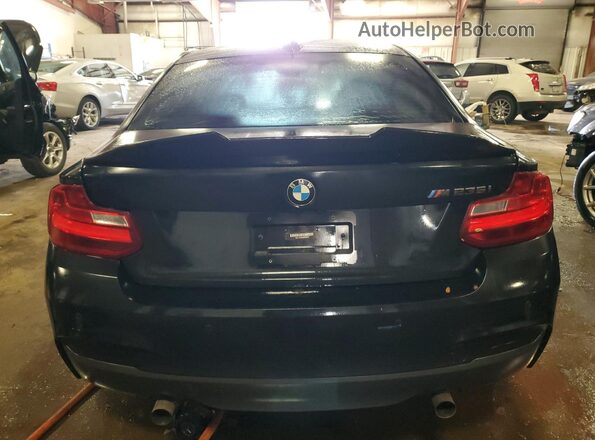 WBA1J7C5XGV359643 2016 BMW M2 Black Vista trasera