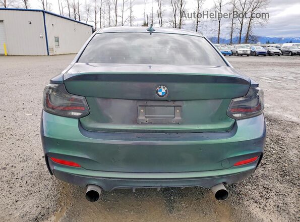WBA1J9C58GV372032 2016 BMW M2 Green უკანა ხედი