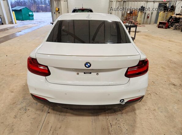 WBA2G3C38HV641307 2017 BMW M2 Белый Вид сзади