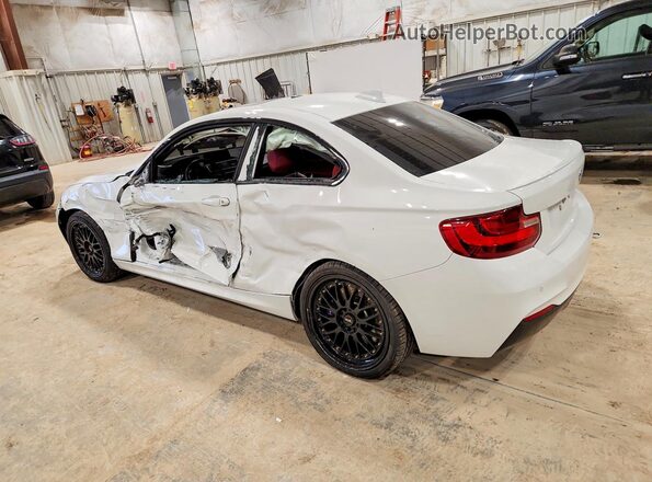 WBA2G3C38HV641307 2017 BMW M2 Белый Задняя левая четверть