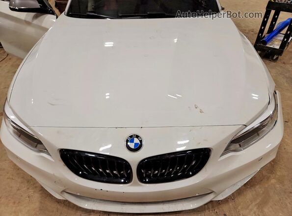 WBA2G3C38HV641307 2017 BMW M2 Белый Вид задней части салона