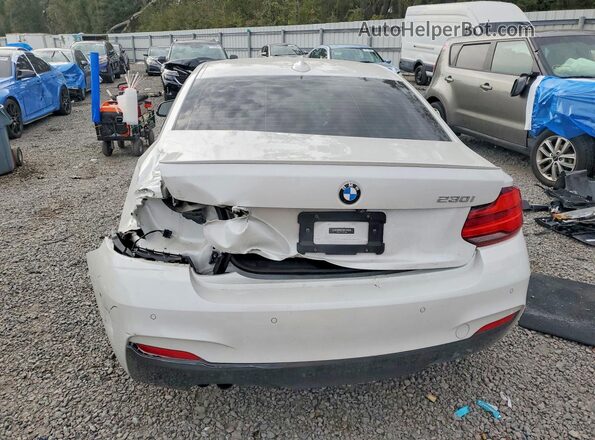 WBA2J1C54KVD10001 2019 BMW OTHER Белый Вид сзади