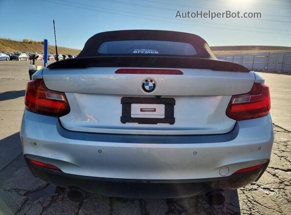 WBA2L3C32HV667882 2017 BMW M2 Silver უკანა ხედი