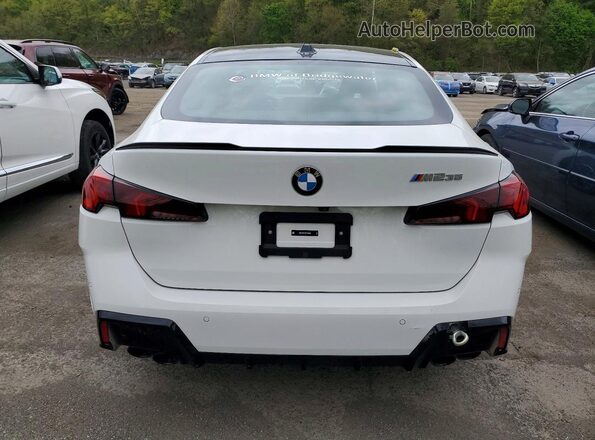 WBA33GG05S7S16629 2025 BMW M2 Белый Вид сзади