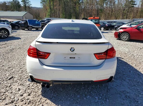 WBA4F9C51HG792591 2017 BMW OTHER Белый Вид сзади