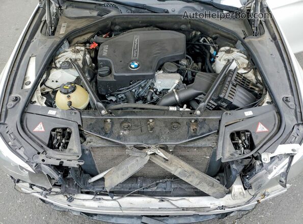WBA5A5C5XGD527583 2016 BMW 5 SERIES Белый Вид задней части салона