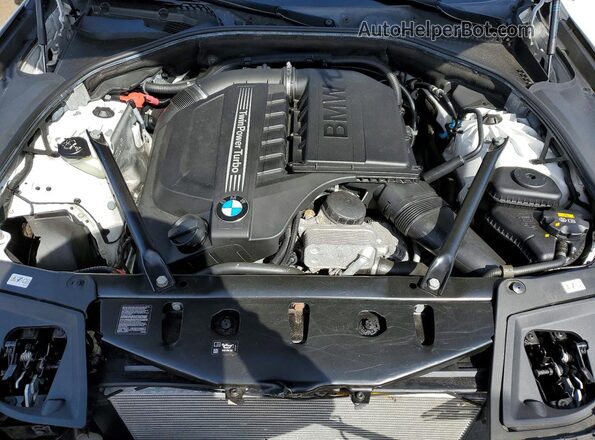 WBA5B3C59GG259822 2016 BMW 5 SERIES Белый Вид задней части салона