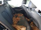 2020 Bmw 330i Black vin: WBA5R1C03LFH43606