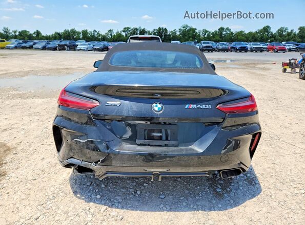 WBAHF9C09LWW64569 2020 BMW Z4 Black Widok z tyłu