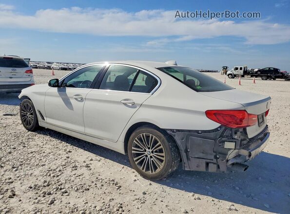WBAJR3C04LWW75517 2020 BMW 5 SERIES Белый Задняя левая четверть