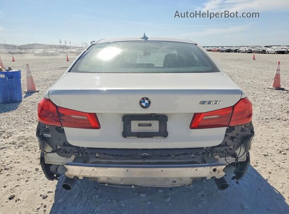 WBAJR3C04LWW75517 2020 BMW 5 SERIES Белый Вид сзади