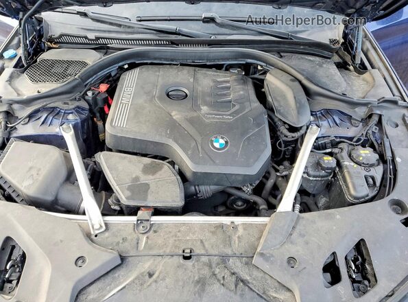 WBAJR7C06LCE14966 2020 BMW 5 SERIES Синий Вид задней части салона