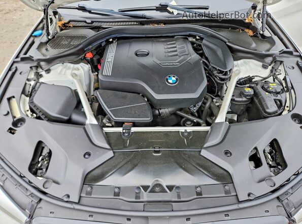 WBAJR7C09LWW65217 2020 BMW 5 SERIES Белый Вид задней части салона