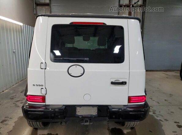 WDCYC6BJ4KX300115 2019 MERCEDES-BENZ G-CLASS Белый Вид сзади