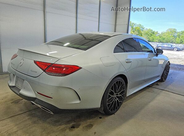 WDD2J5JB9KA027722 2019 MERCEDES-BENZ CLS-CLASS Silver Tył prawy