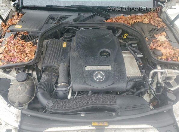 WDDWF4KB1GR140763 2016 MERCEDES-BENZ C Белый Вид задней части салона