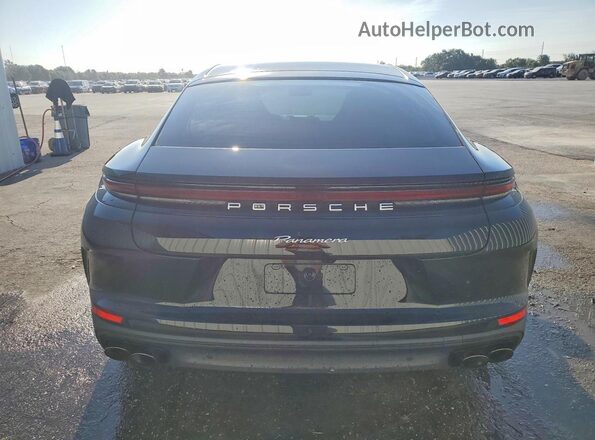 WP0AA2YA3SL010856 2025 PORSCHE PANAMERA Угольный Вид сзади