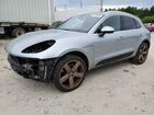 WP1AB2A55LLB32001